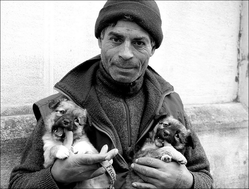 Amico Rom e...amici cuccioli