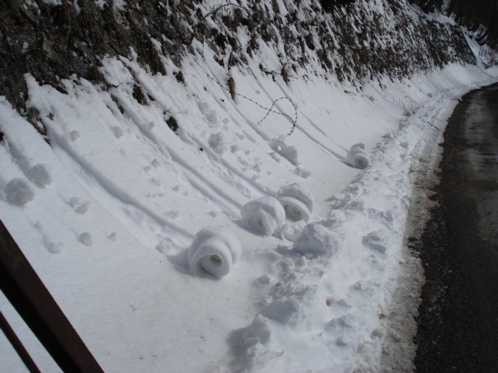 Chiocciole delle nevi