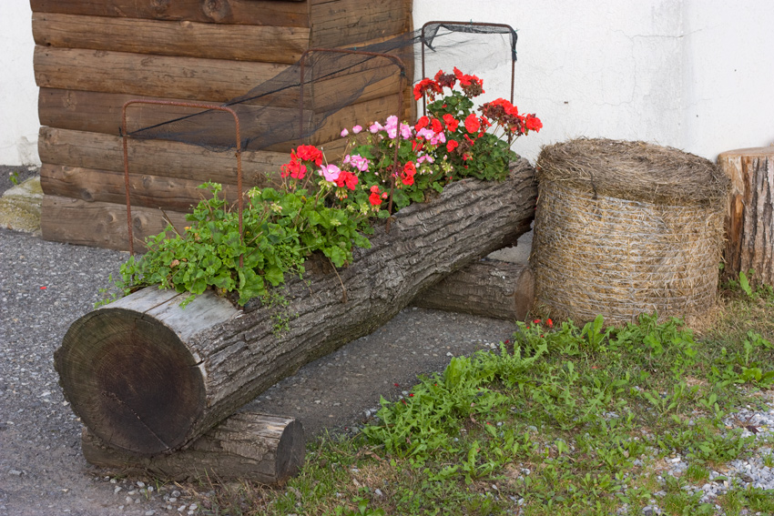 I Fiori dello zio Tom