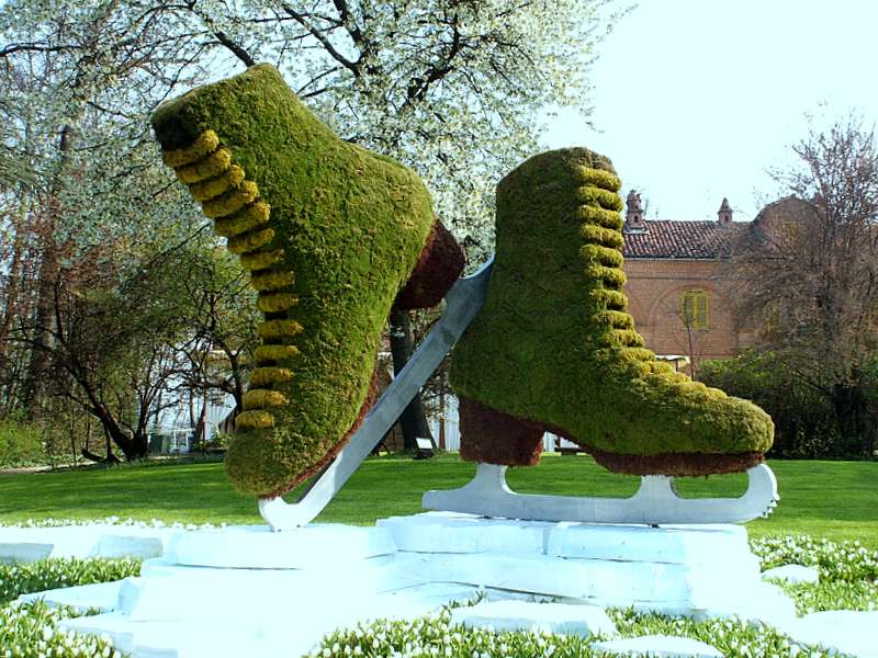 Pattini in .....erba