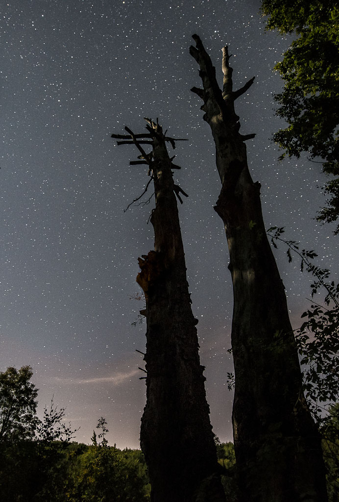 notturna parco d'Abruzzo