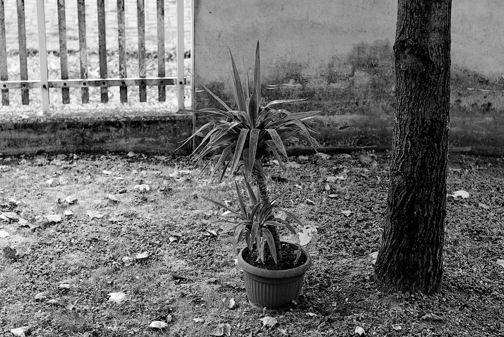 esterno al n.6, della serie quaderno contemporaneo