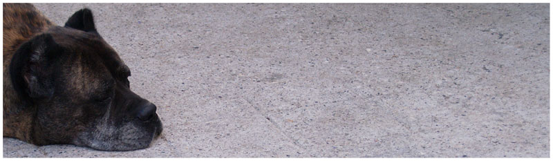 Omaggio al Vecchio Hunter