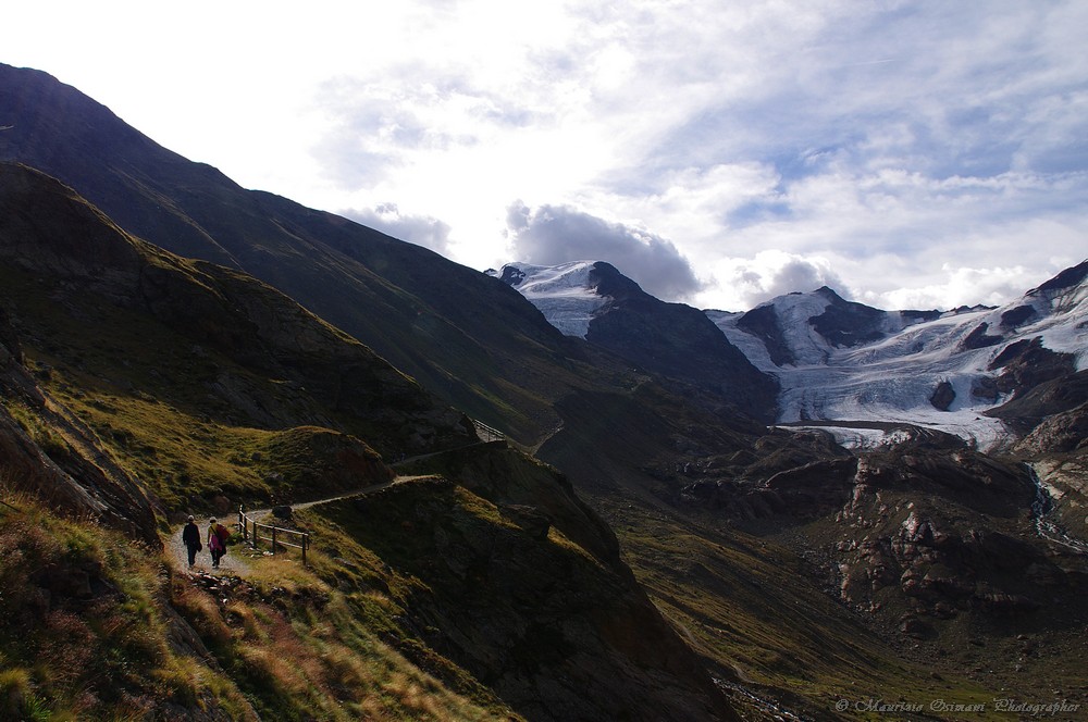 Il Ghiacciaio dei Forni