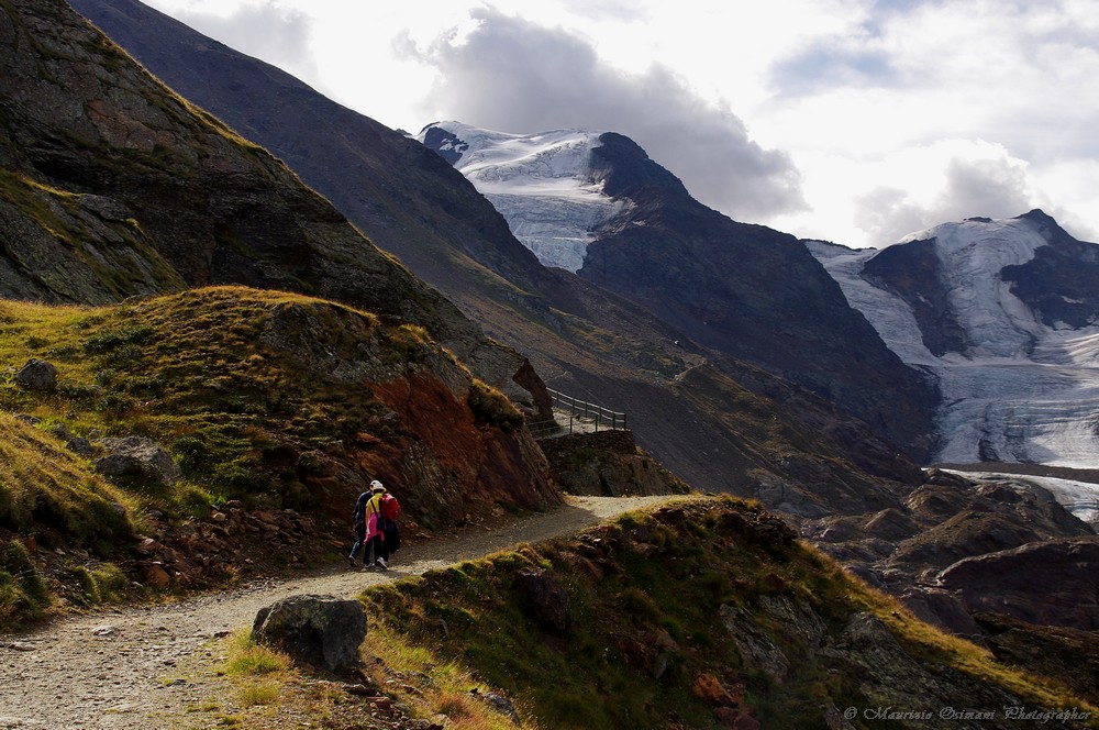 Il Ghiacciaio dei Forni