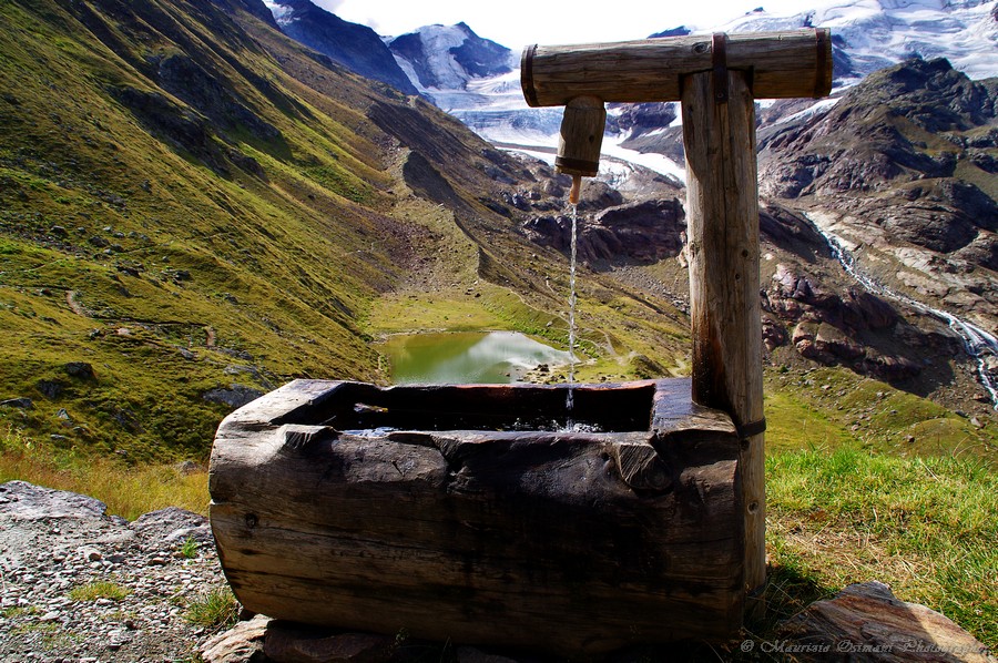 Il Ghiacciaio dei Forni