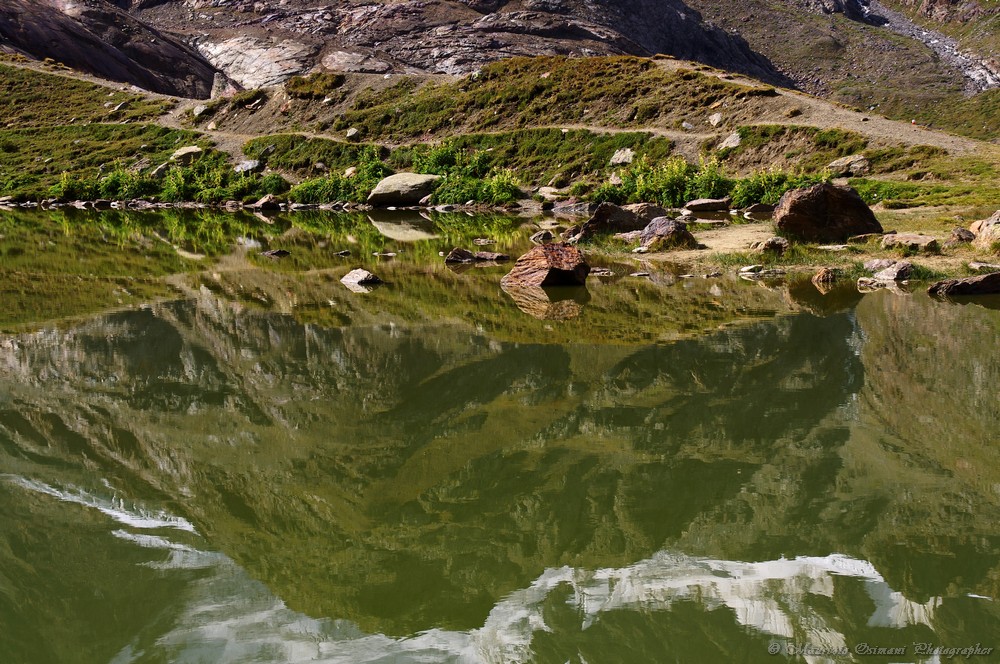 Il Ghiacciaio dei Forni