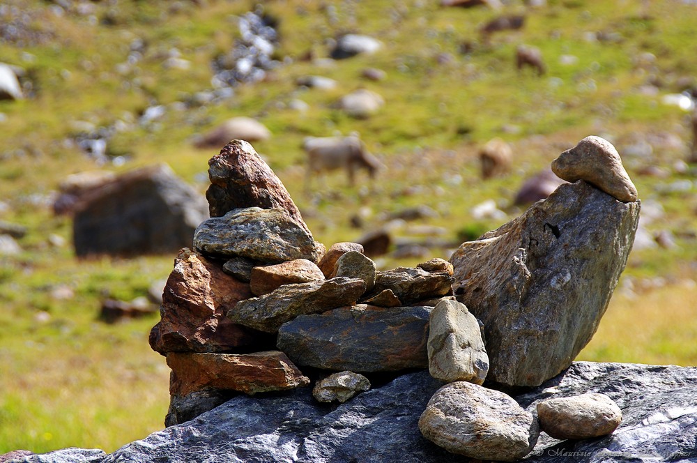 Il Ghiacciaio dei Forni