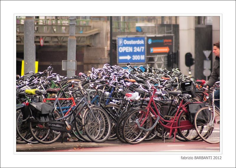 biciclette ad Amsterdam, regine e sovrane del traffico