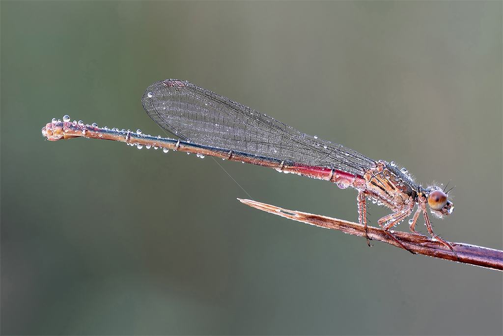 Proprio In Cima...!!!