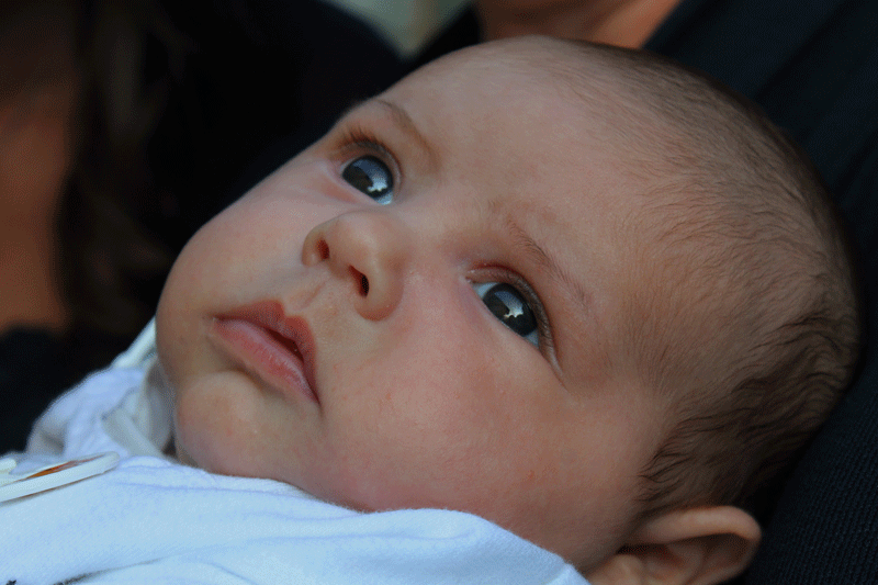 Gli occhi lo specchio dell'anima