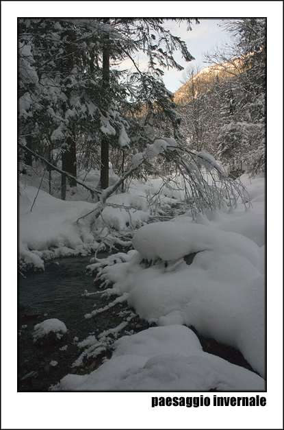 Paesaggio Invernale