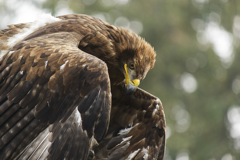 Oasi di Sant'Alessio