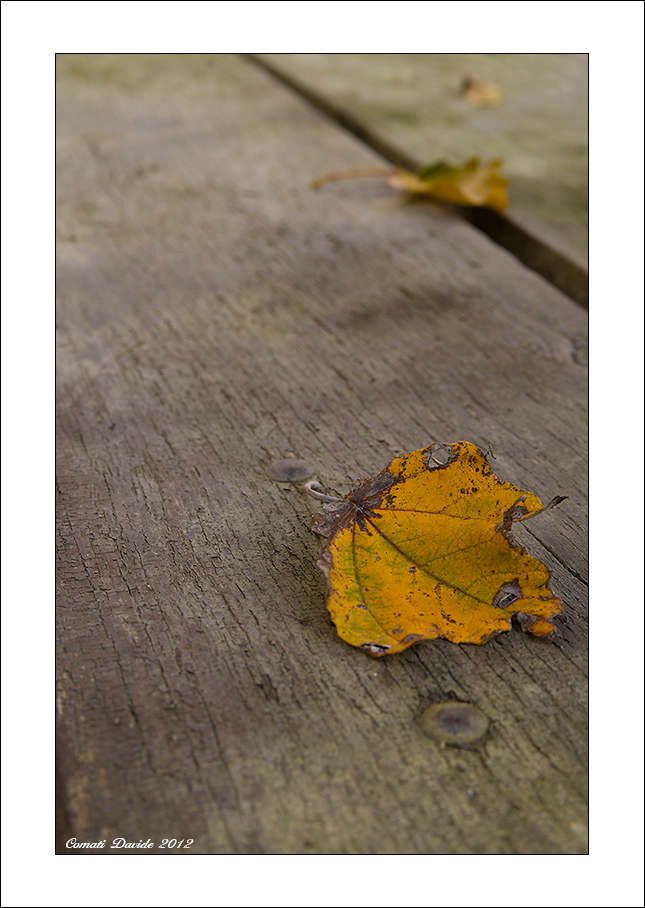 Vestita di Rughe....