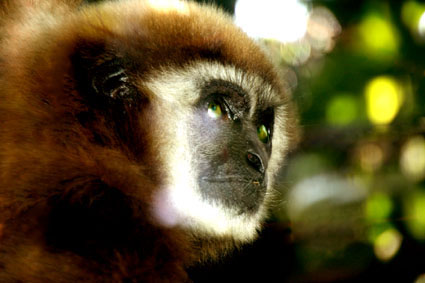 Che Vita da Bestie!!!