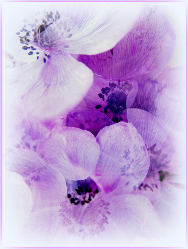 Piccoli pensieri che prendono corpo