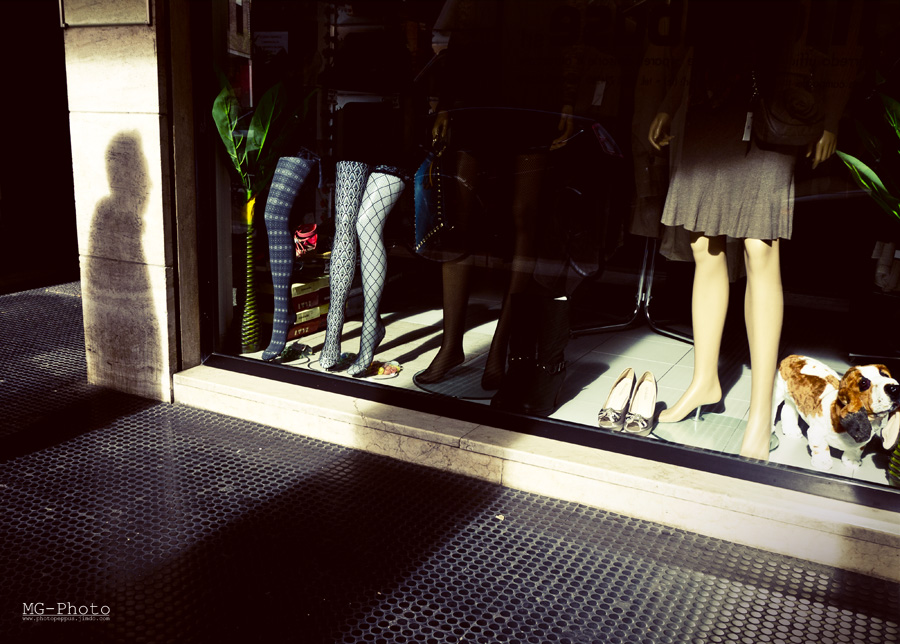 288-365 shot project