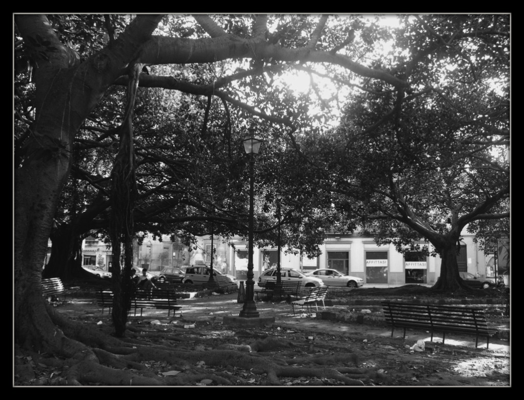 Piazza San Franscesco Di Paola (Pa)