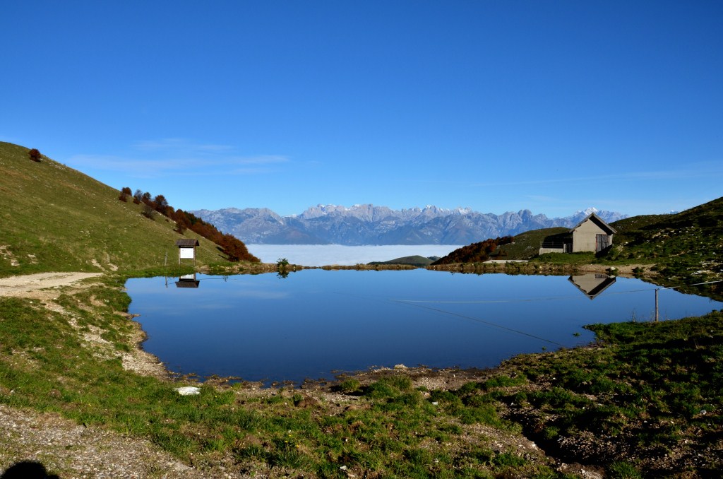 Monte Cesen verso le Pale di S. Martino