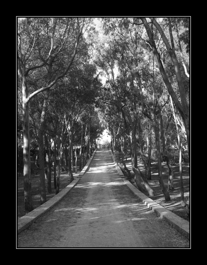 Corso Pineta Balestrate prov (Pa)