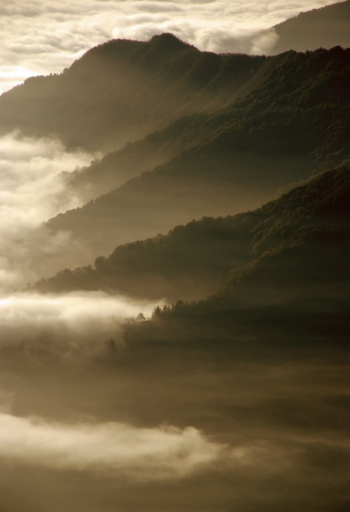 Nebbie alle prime luci