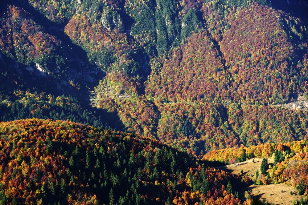 Foreste d'autunno, Monte Carega