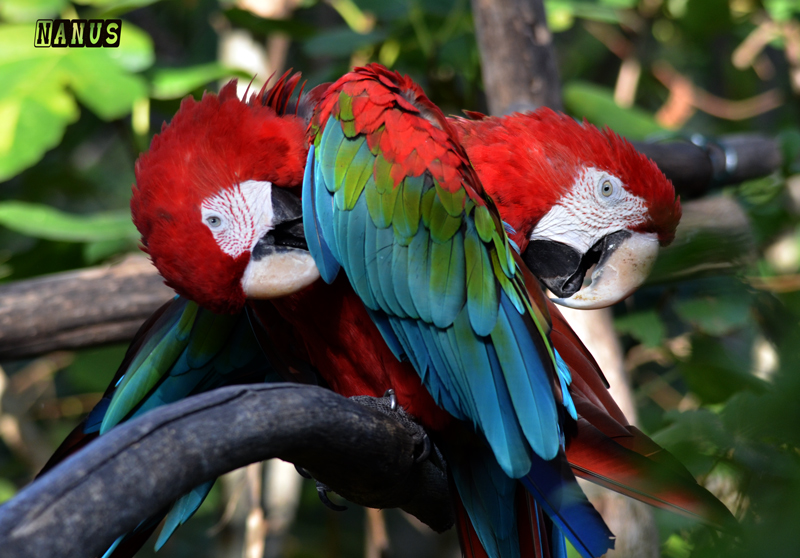 Ara " a 2 teste " ^^