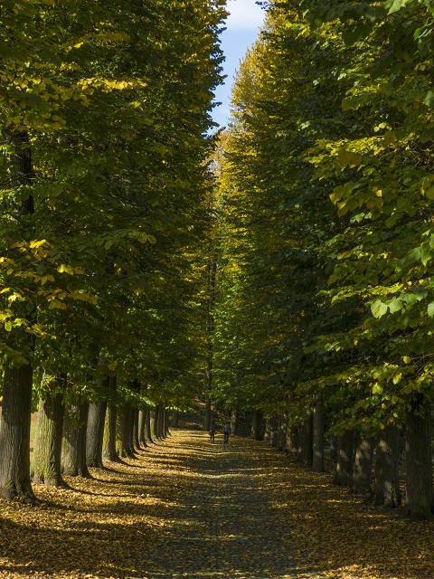 Passeggiata autunnale