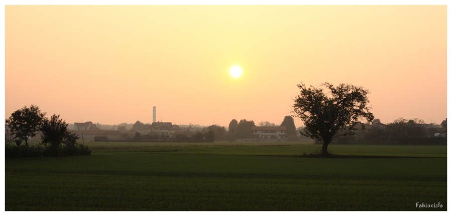Il mio albero preferito 2