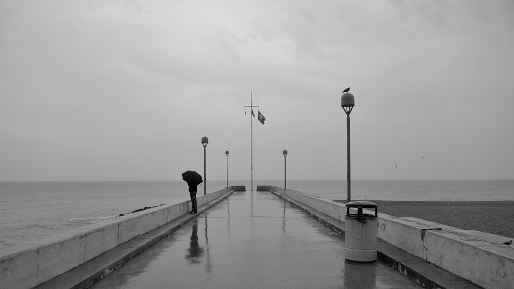 La colomba non vola pi�