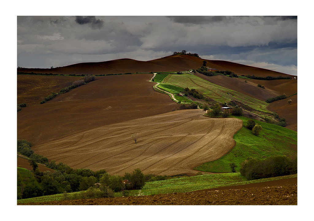 Colline