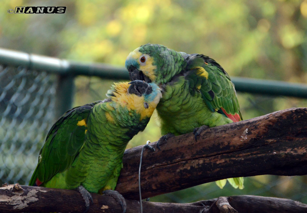 se non � amore dimmelo tu cos'�!!!