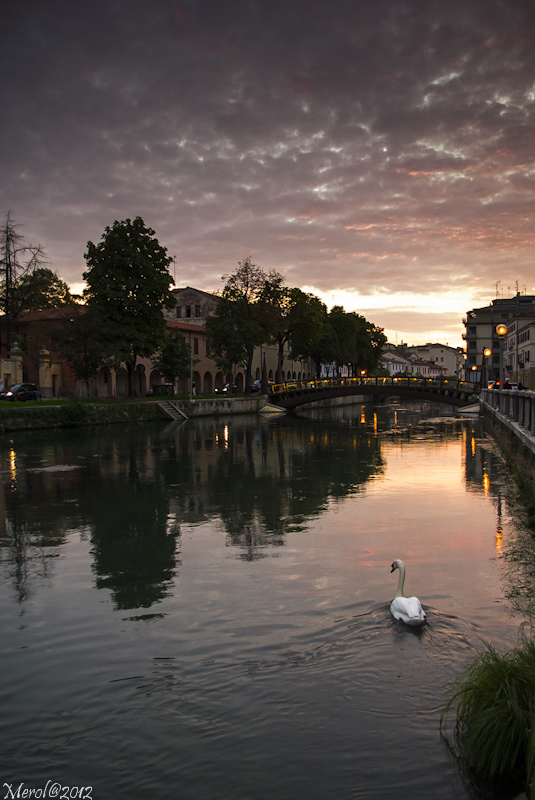 Treviso