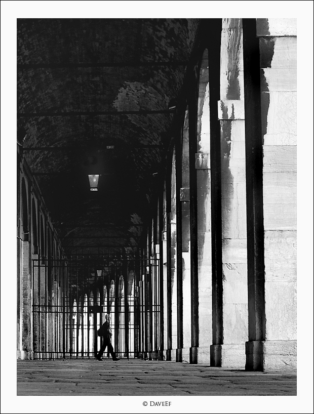 e destino vagar senza meta, tra canne d'organo