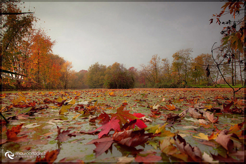 Stagno della Torrazza 2
