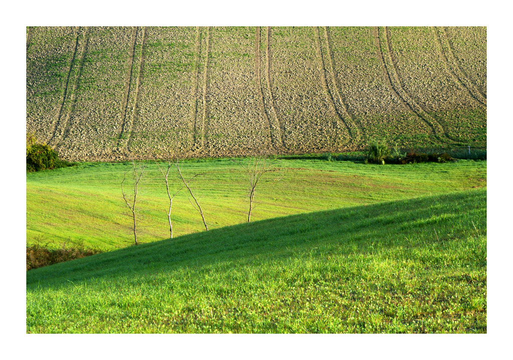 Lajatico, valle del silenzio