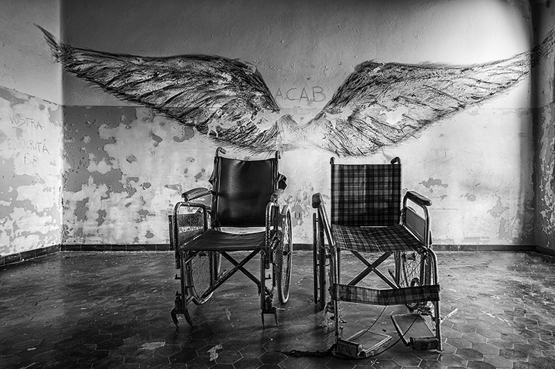 Sulle ali della libert�