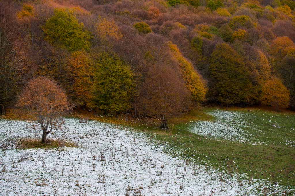 II� versione 3 stagioni in una