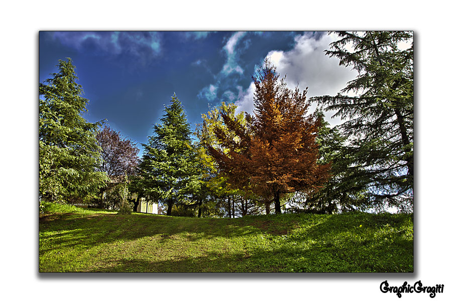 percorso vita zola predosa