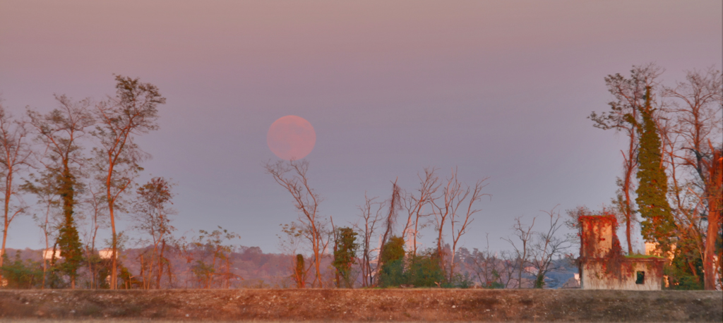 nasce la luna al calar del sole....