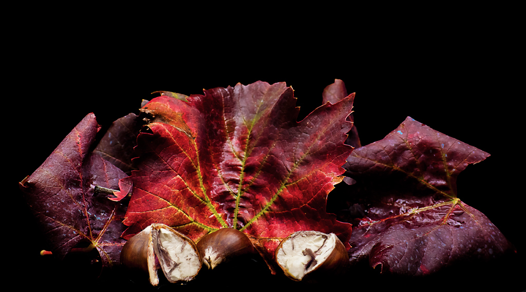 I colori dell'autunno