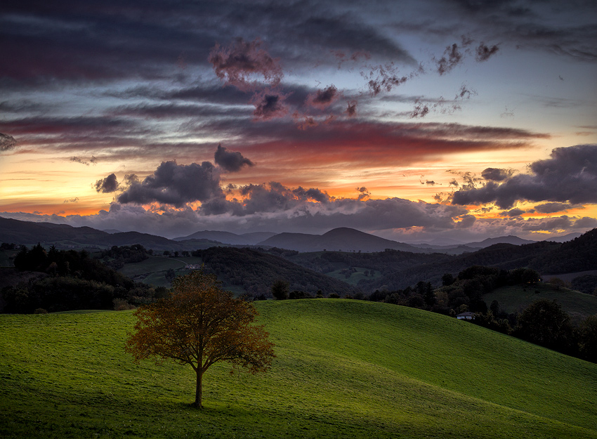 La tranquillit� che precede il crepuscolo