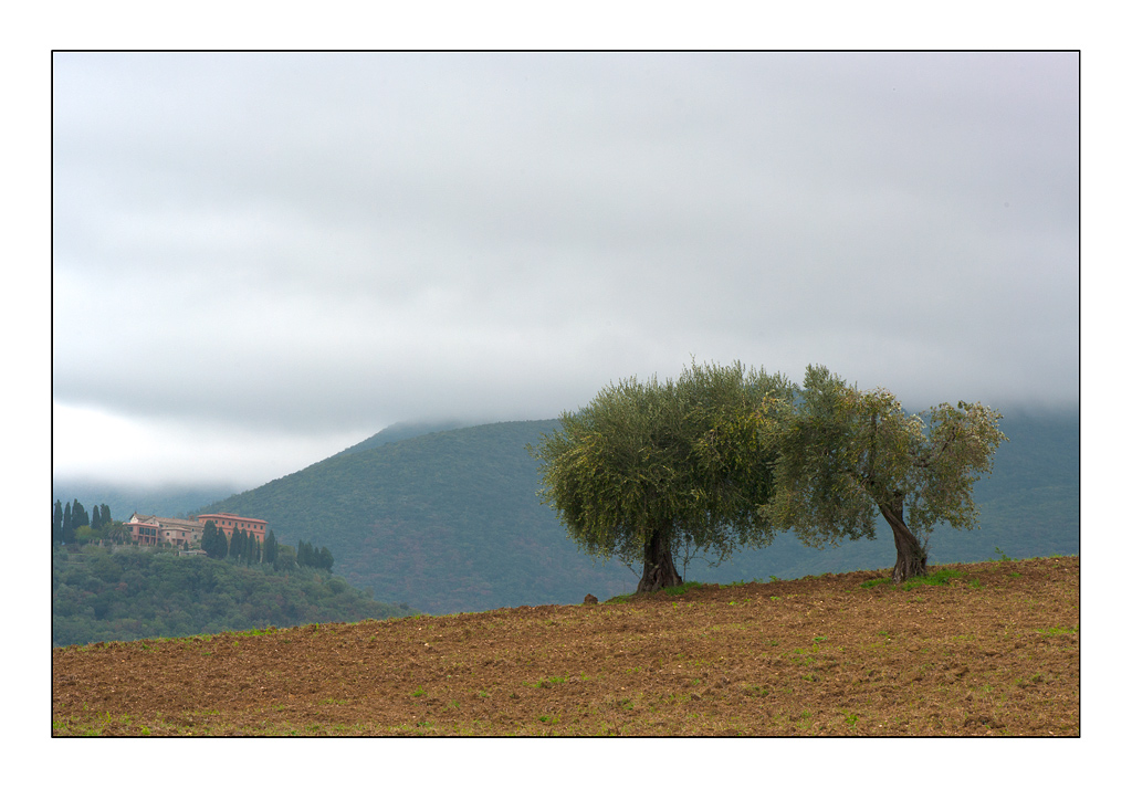 Giovane coppia osserva la casa dei sogni