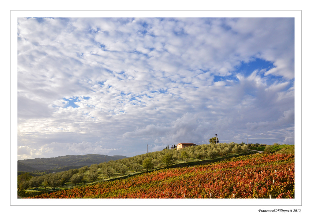 Montefalco (il cielo)