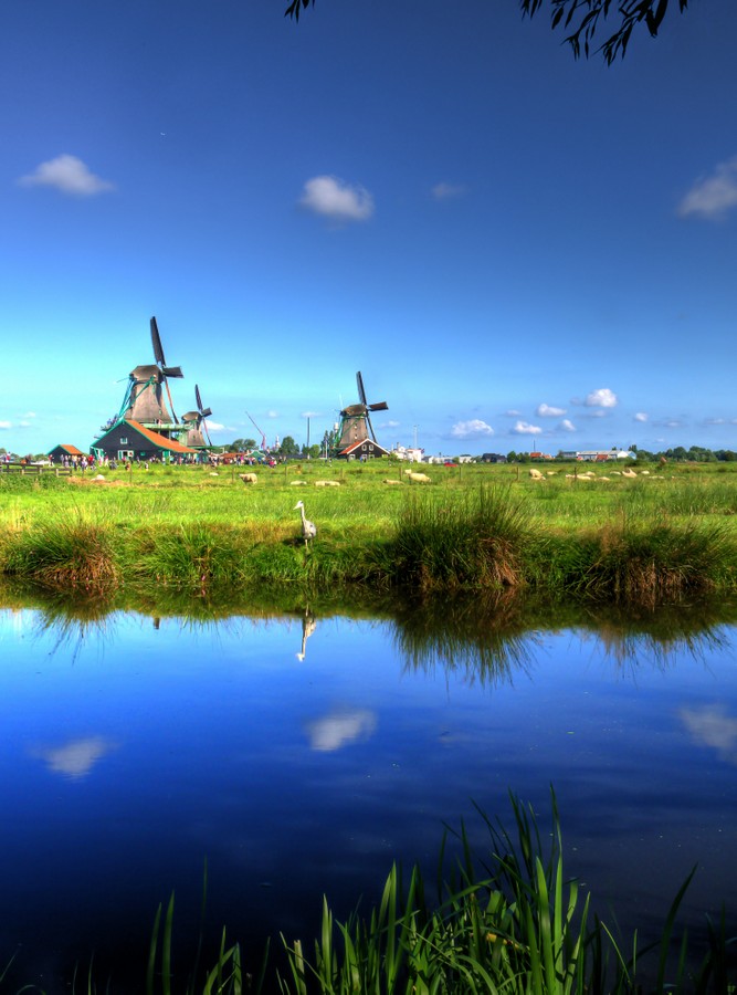 magic holland