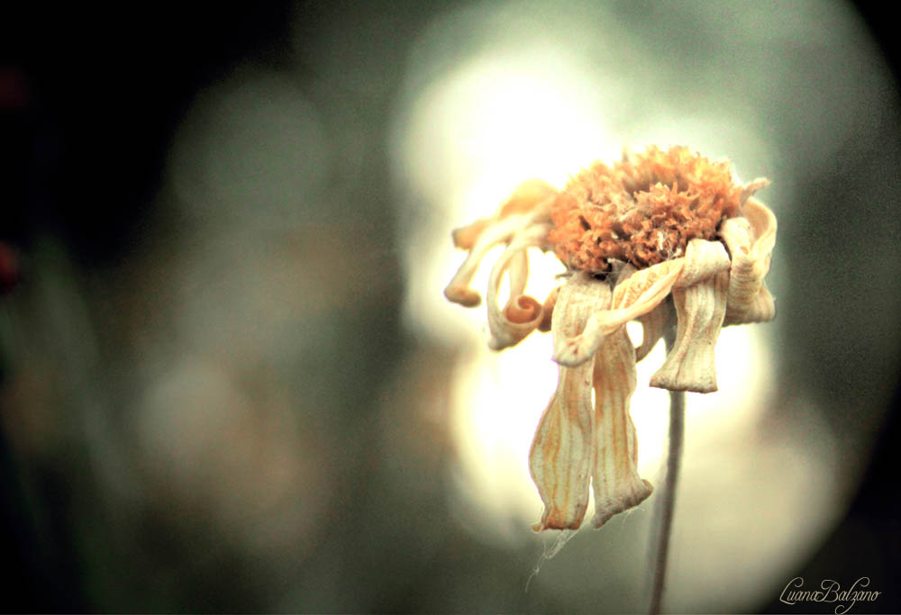 vai...io ti aspetto qui