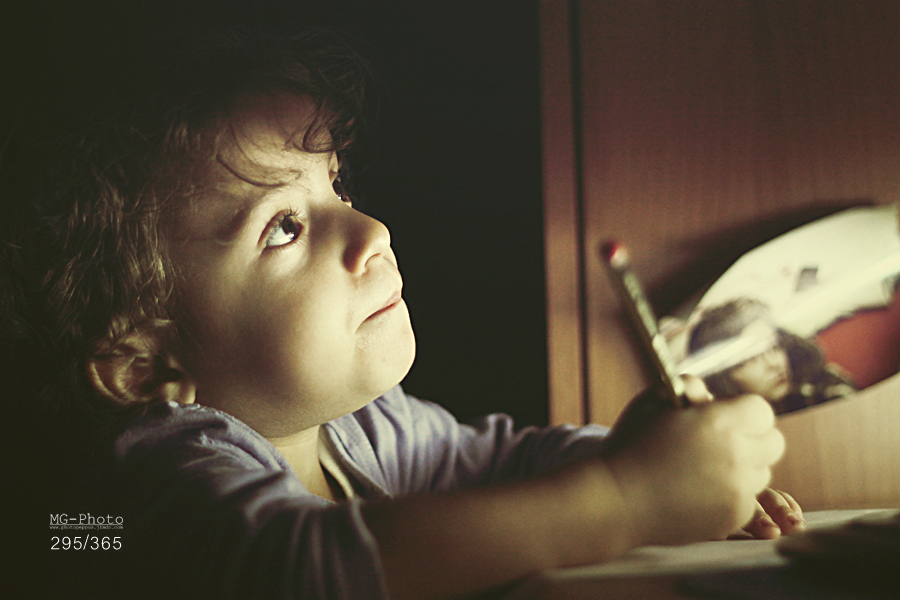 295-365 shot project