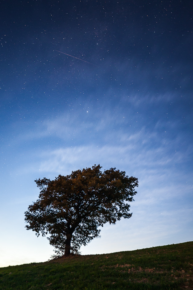 uno sguardo al cielo