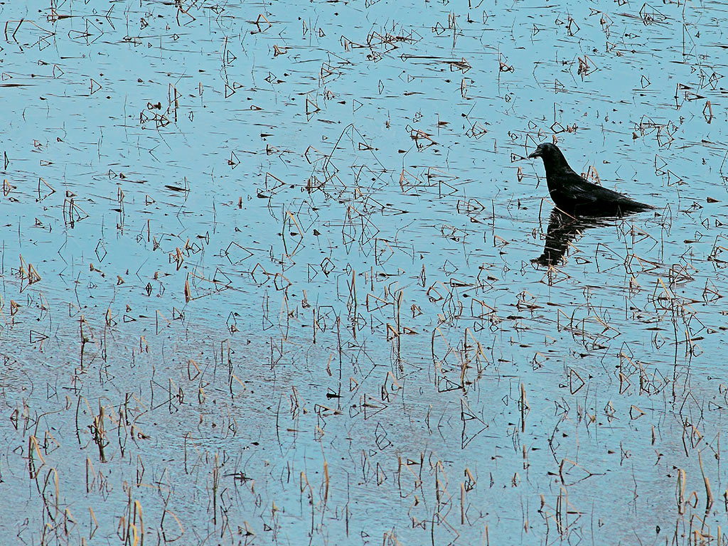 Walking in the Texture