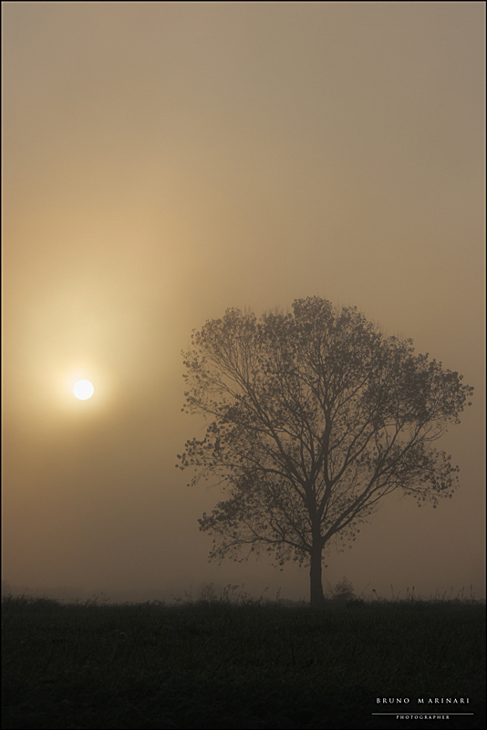 Buongiorno.....  con nebbia